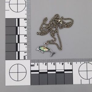 Dolphin Necklace with Silver Chain